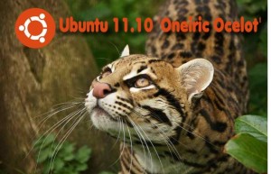 Oneiric_Ocelot